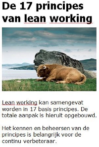 17 principes van lean manufacturing. Struiksma OTV. www.leanworker.nl